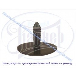 Пистон Audi VW Hyundai Kia Chery Great Wall (10 шт.)  SM-069-1/678